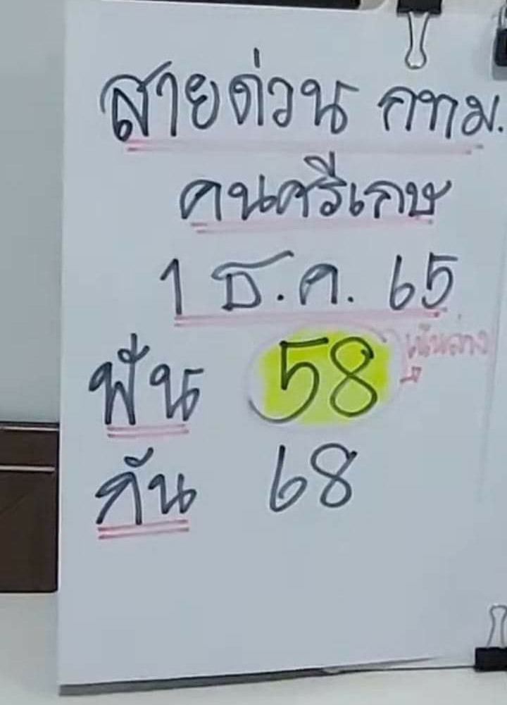 เลขเด็ดประมูลสุดฮอต 16-6-66