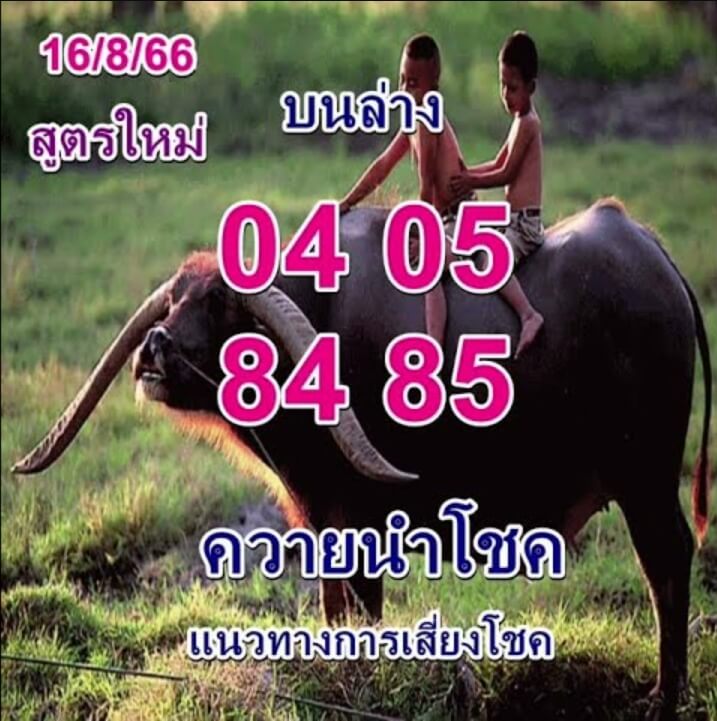 หวยไทย ควายนำโชค 1/9/66